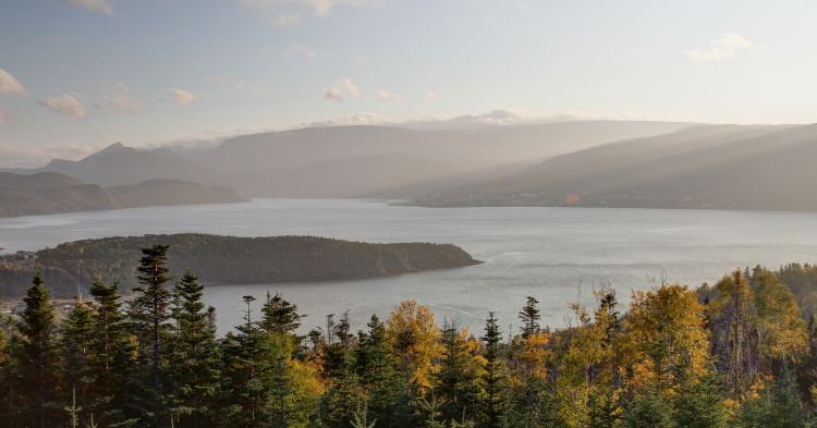 Discover the top 10 activities to do in Canada this spring—from cherry blossoms to outdoor adventures. Make the most of the season.
