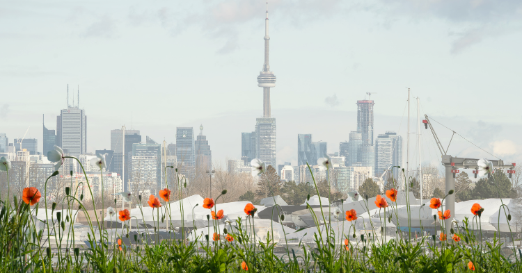 5 Events in Toronto to Watch Out For This Spring (2026)